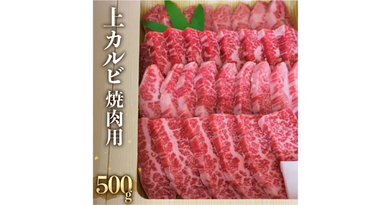 【ふるさと納税】飛騨牛 上カルビ 焼肉用 500g 日時指定可 冷蔵 牛肉 和牛 肉 国産 熨斗掛け バーベキュー 焼き肉 カルビ A4 A5 山勇牛一貫 高級 熟成 化粧箱 ギフト 熨斗 人気 時間指定［Q113n］ お中元 ギフト 御中元 お歳暮