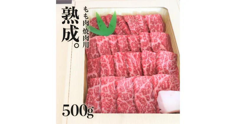 【ふるさと納税】飛騨牛 もも モモ肉 焼肉用 500g 牛肉 和牛 肉 熨斗掛け [D0030] 30000円 3万円