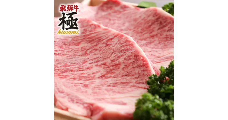 【ふるさと納税】飛騨市推奨特産品 飛騨牛 サーロインステーキ 200g×1枚 牛肉 和牛 肉 お歳暮[C0008]20000円 2万円