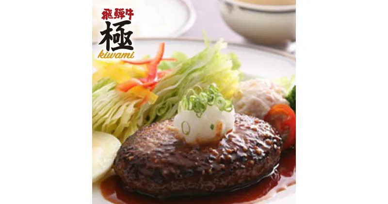 【ふるさと納税】直営ホテルオリジナル商品　飛騨牛ハンバーグセット 牛肉 和牛 肉　ハンバーグ　 熨斗掛け[C0011]20000円 2万円