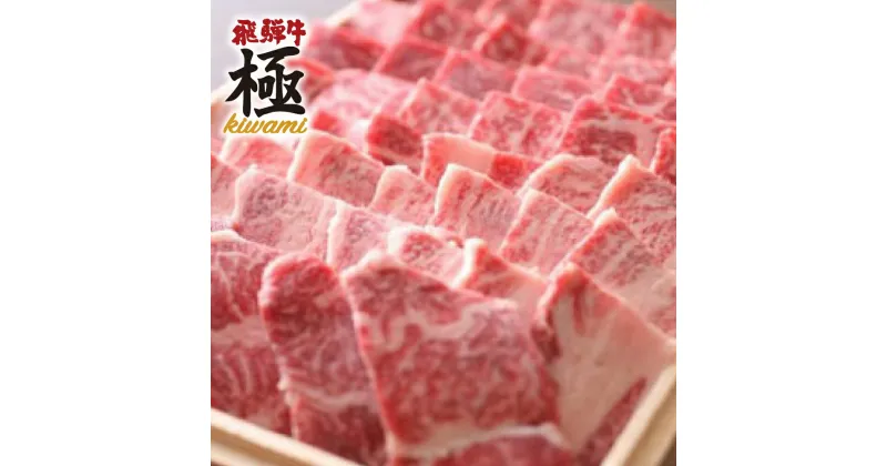 【ふるさと納税】飛騨市推奨特産品飛騨牛 BBQ がっつりバーベキューカルビ 500g 牛肉 和牛 肉 お歳暮[D0020]30000円 3万円