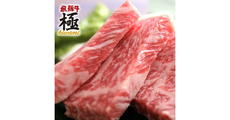 【ふるさと納税】飛騨市推奨特産品飛騨牛　ミニロインステーキ4枚 牛肉 和牛 肉 お歳暮[E0012]40000円