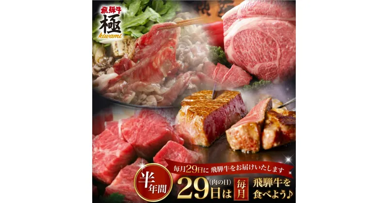 【ふるさと納税】肉 定期便 6回 6ヶ月 飛騨牛“極” 毎月29日（肉の日） 飛騨牛を食べよう！お肉の定期便半年バージョン 毎月 お楽しみ [L0008] 260000円