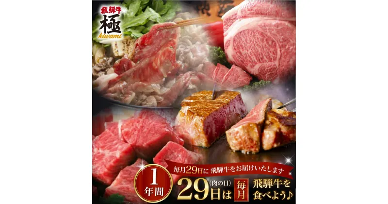 【ふるさと納税】肉 定期便 12回 12か月 飛騨牛“極” 毎月29日（肉の日）飛騨牛を食べよう！牛肉 定期便 1年バージョン 肉 和牛 飛騨牛[O0002]500000円 50万円