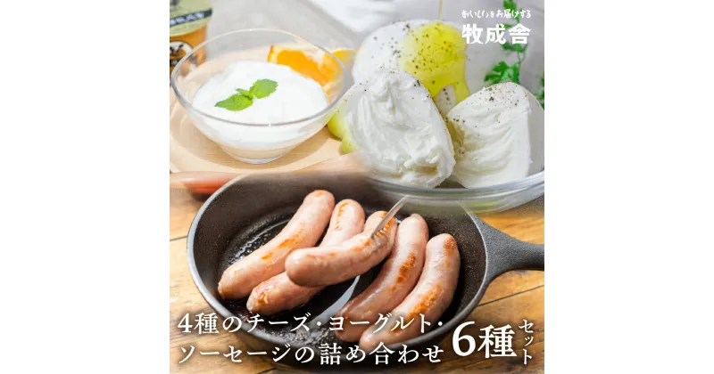 【ふるさと納税】飛騨のチーズ＆ソーセージ＆ヨーグルトセット 詰め合わせ 限定販売 冷蔵 冷蔵保存 冷凍 牧成舎 モッツァレラチーズ カプレーゼ 豚肉 熟成 濃厚 おつまみ バーベキュー プレゼント 生乳100％ 個包装 日時指定 時間指定[B0007]