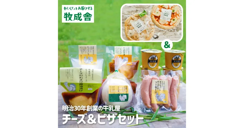 【ふるさと納税】＜牧成舎＞飛騨のナチュラルチーズ＆チーズたっぷりピザ＆ヨーグルトセット[Q1643]