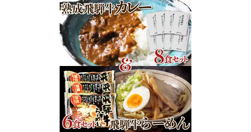 【ふるさと納税】熟成ビーフカレー8食＆飛騨牛ラーメン6食セット 肉 熨斗掛け［D0039］36000円