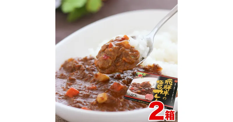 【ふるさと納税】飛騨牛の極旨カレー 飛騨牛カレー 2食入り×2箱 牛肉 和牛 肉 熨斗掛け [B0056]