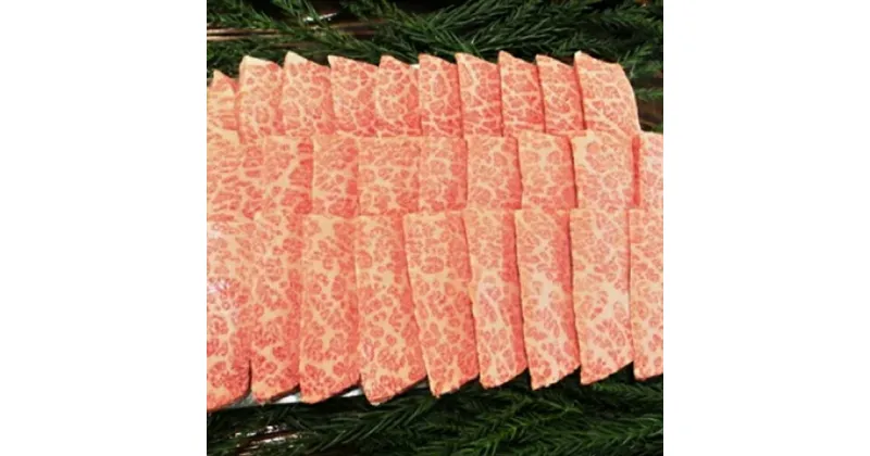 【ふるさと納税】飛騨牛 5等級 霜降り カルビ 焼肉用 500g 古里精肉店謹製 A4 A5 バラ 焼肉 牛肉 肉 和牛 国産 BBQ ギフト 贈答 熨斗 BBQ バーベキュー 飛騨市推奨特産品　[E0028]