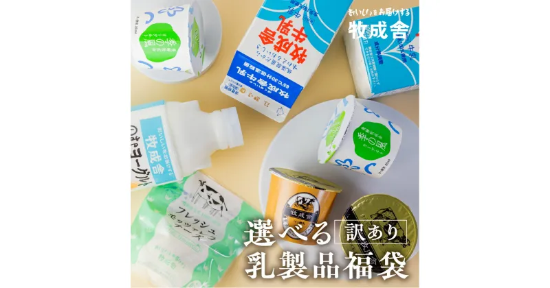 【ふるさと納税】訳あり 選べる 福袋 お楽しみ 乳製品 乳製品セット 牛乳 ヨーグルト 飲むヨーグルト チーズ 牧成舎 [Q1911]　10000円 1万円 《hida0307》