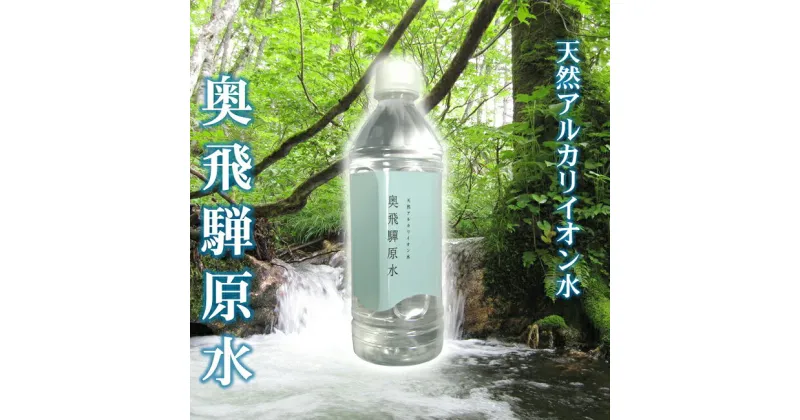 【ふるさと納税】天然水 奥飛騨原水500ml×24本　飛騨の美味しい水　ミネラルウォーター[B0124]