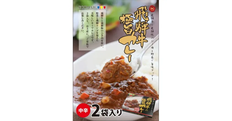 【ふるさと納税】飛騨牛の極旨カレー 2食入り×6箱 肉 熨斗掛け[D0059]