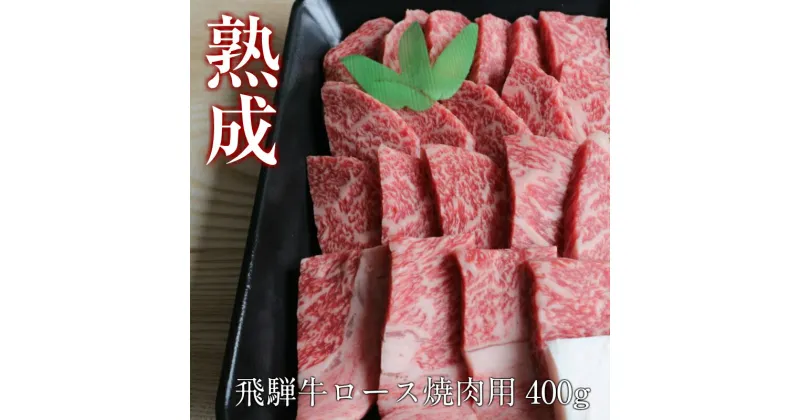 【ふるさと納税】飛騨牛 熟成肉 焼肉 ロース 焼肉用 400g 飛騨の牧場で育った『山勇牛』 牛肉 和牛 肉 熨斗掛け［E0039］40000円