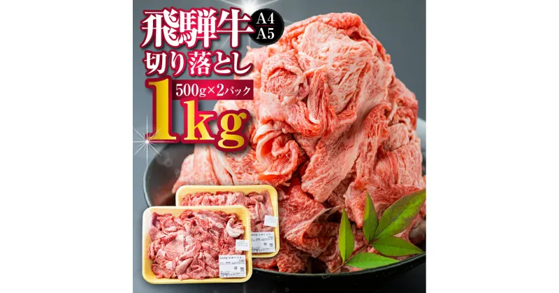 【ふるさと納税】【訳あり】飛騨牛 切り落とし 500g×2 計1kg A4 A5 部位おまかせ a4 a5 牛肉 肉 黒毛和牛 国産 小分け 熨斗 訳アリ わけあり ワケアリ 不揃い 薄切り すき焼き 牛丼 カレー 肉じゃが 焼肉 飛騨市産 冷凍[d0078]（クラウドファンディング対象）