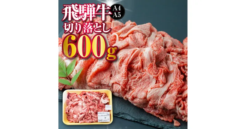 【ふるさと納税】厳選　飛騨牛　切り落とし 切落し A4・A5ランク 600g 牛肉 和牛 肉 訳あり 訳アリ わけあり ワケアリ 不揃い a4 a5 すき焼き 牛肉 牛丼 カレー 飛騨市産[C0061]