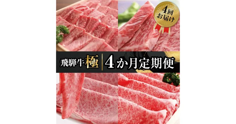 【ふるさと納税】《発送時期が選べる》飛騨牛”極” 4か月 or 1年間 定期便 焼肉・しゃぶしゃぶ・ステーキ・すき焼き 堪能コース 飛騨牛 肉 和牛　4回　お肉　お楽しみ　定期便[Q107]120000円