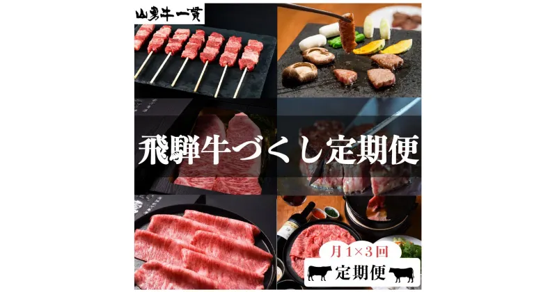 【ふるさと納税】《発送時期が選べる》飛騨牛 定期便 3回 3か月 焼肉 牛串 ステーキ すき焼き しゃぶしゃぶ サーロイン など 和牛 肉 定期便 お楽しみ[Q125]