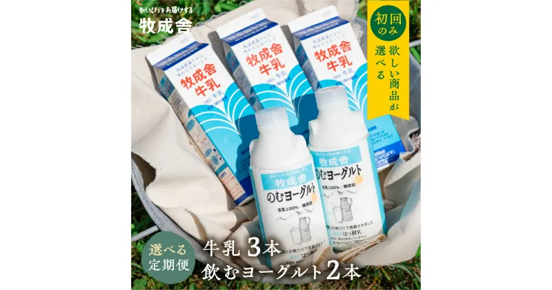 【ふるさと納税】《牧成舎》飲むヨーグルト＆牛乳 毎月1回×6か月 12か月 お届け定期便 低温殺菌牛乳 3本 無添加 飲むヨーグルト 2本 飛騨産生乳100%使用 定期便 お楽しみ [Q128]《hida0307》