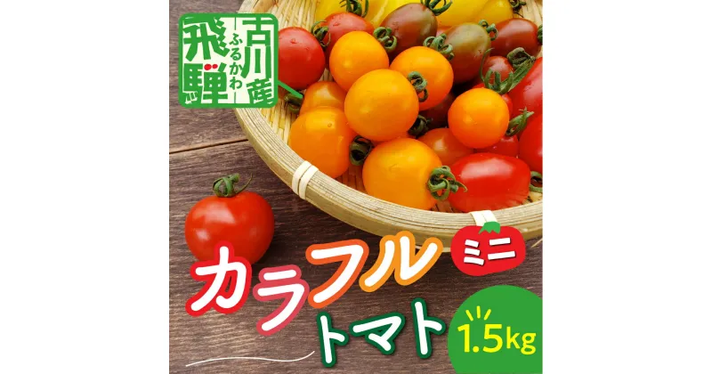 【ふるさと納税】《先行予約》令和7年産《期間限定・数量限定》飛騨産 トマト ミニトマト カラフルキュートなミニトマトの詰め合わせたっぷり1.5kg！ [Q216_25]12000円