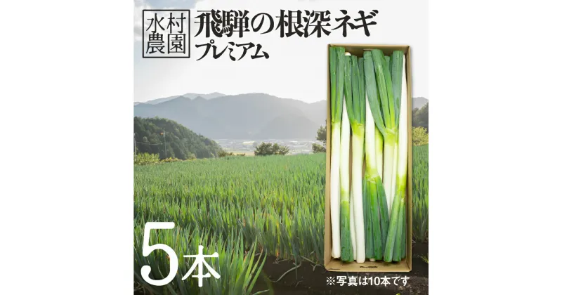 【ふるさと納税】《先行予約》水村農園 飛騨の根深ネギ プレミアム ねぎ 5本 飛騨産野菜 旬の野菜 野菜 ネギ 産地直送 国産 [Q330re] 《hida0307》