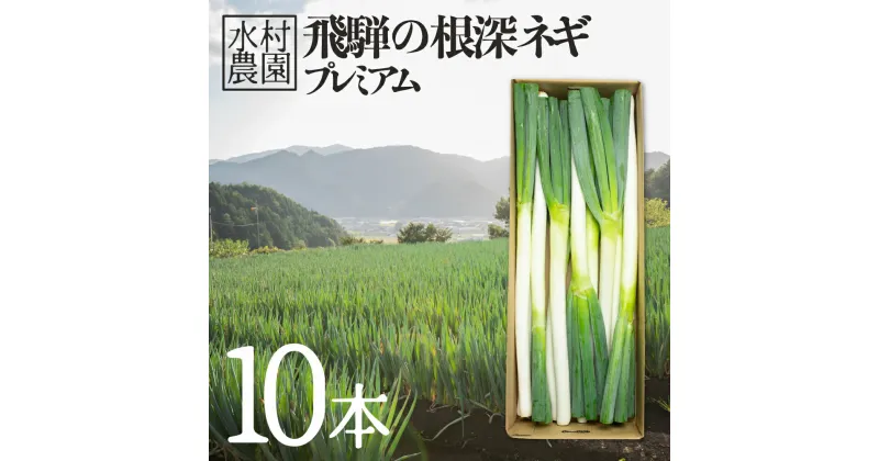 【ふるさと納税】《先行予約》水村農園 飛騨の根深ネギ プレミアム ねぎ 10本 飛騨産野菜 旬の野菜 ネギ 産地直送 鍋[Q331]