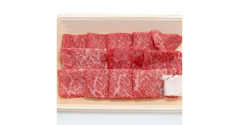 【ふるさと納税】飛騨市産 5等級飛騨牛 焼肉用 300g ギフト[Q347]