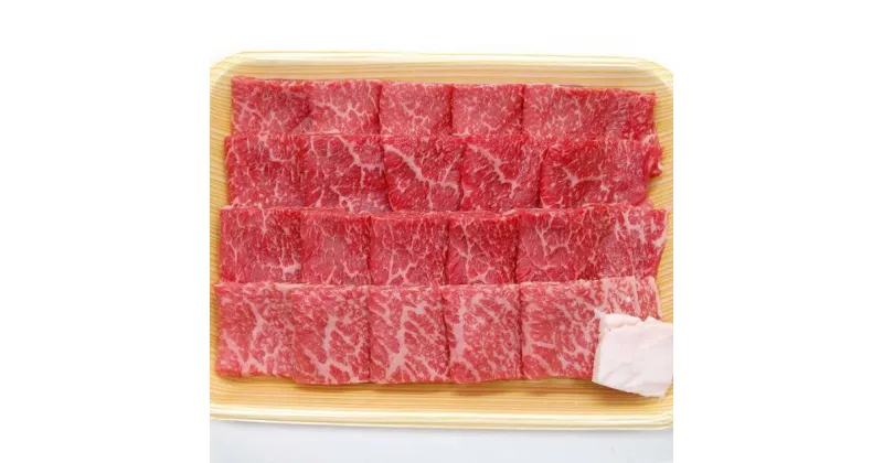 【ふるさと納税】飛騨市産 5等級飛騨牛 焼肉用 500g ギフト 熨斗掛け 贈答 [Q353]