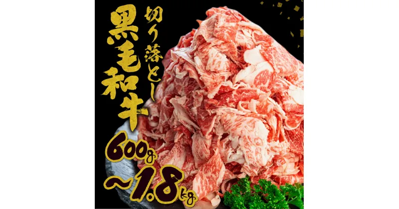 【ふるさと納税】《内容量が選べる》《簡易包装》飛米牛 切落しスライス 600g 〜 1.8kg スライス 黒毛和牛 和牛 牛肉 肉 国産牛 きりおとし 牛丼 お取り寄せ 切落し ふぞろい 訳アリ わけあり ワケアリ 不揃い 小分け 大容量 10000円 1万円