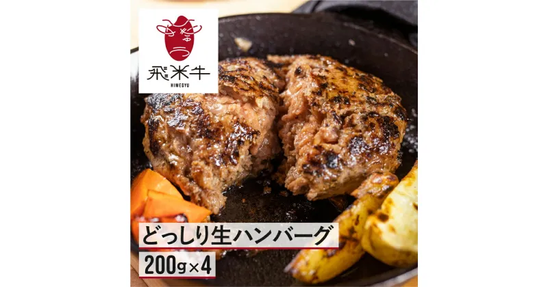 【ふるさと納税】《簡易包装》うまい赤身にこだわった 牛飼いの和牛肉 飛米牛 生ハンバーグ　200g×4枚 飛米牛 ひめぎゅう 生ハンバーグ 和牛100% 冷凍 牛肉 ビーフ おかず[Q2450]10000円 1万円 《hida0307》