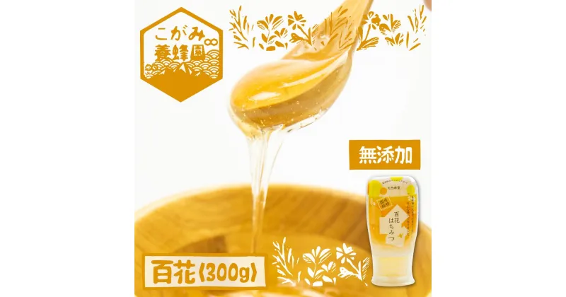 【ふるさと納税】飛騨産 生蜂蜜 百花蜜 300g 国産無添加 百花 はちみつ ギフト ハニー非加熱[Q1195]《hida0307》