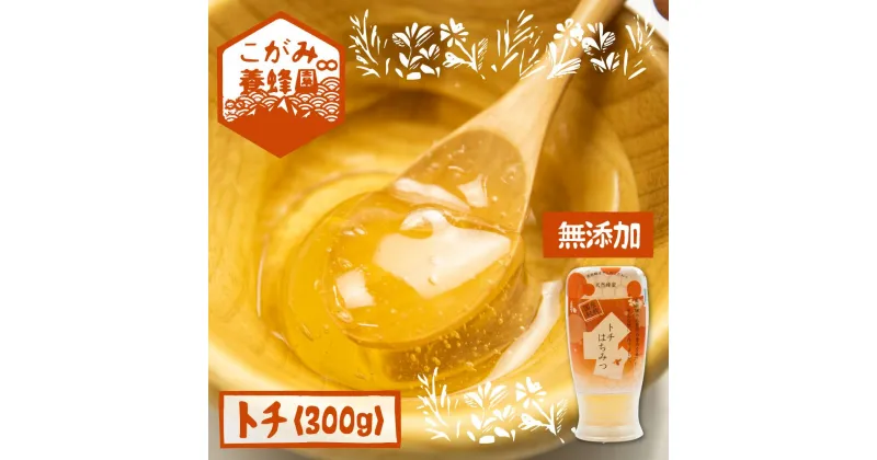 【ふるさと納税】飛騨産 生蜂蜜 トチ蜜 300g 国産無添加 とち蜜 はちみつ ギフト ハニー 非加熱[Q1197] 《hida0307》