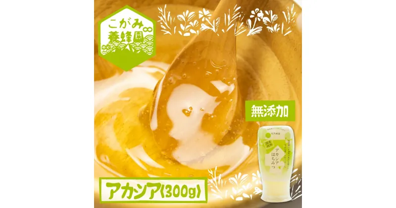 【ふるさと納税】飛騨産 生蜂蜜 アカシア蜜 300g 国産無添加 はちみつ ギフト ハニー 非加熱[Q1199] 《hida0307》