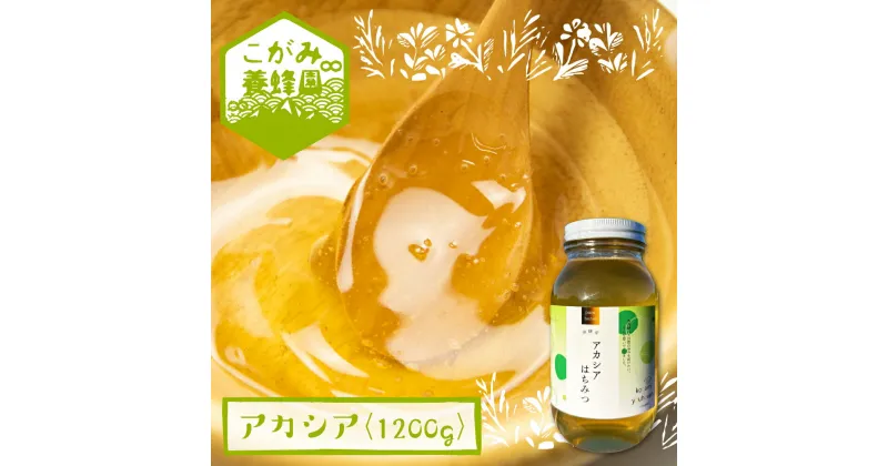 【ふるさと納税】飛騨産 生蜂蜜 アカシア蜜 1200g 国産無添加 はちみつ ギフト ハニー 非加熱[Q1200n]