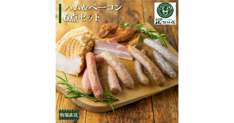 【ふるさと納税】燻製ソーセージ・ベーコン6点セット 肉 スモーク 詰め合わせ ソーセージ ハム ブロック ベーコン おつまみ 山之村牧場[Q504]