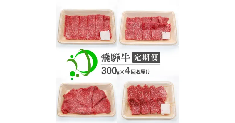 【ふるさと納税】《定期便》飛騨牛 4回お届け 4ヶ月 焼肉 すき焼き しゃぶしゃぶ ミニステーキ 300g 5等級 飛騨市産 定期便 お楽しみ[Q602]