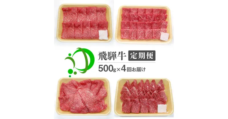 【ふるさと納税】《定期便》飛騨牛 4回お届け 4ヶ月 焼肉 すき焼き しゃぶしゃぶ ミニステーキ 500g 5等級 飛騨市産 定期便 お楽しみ[Q603]