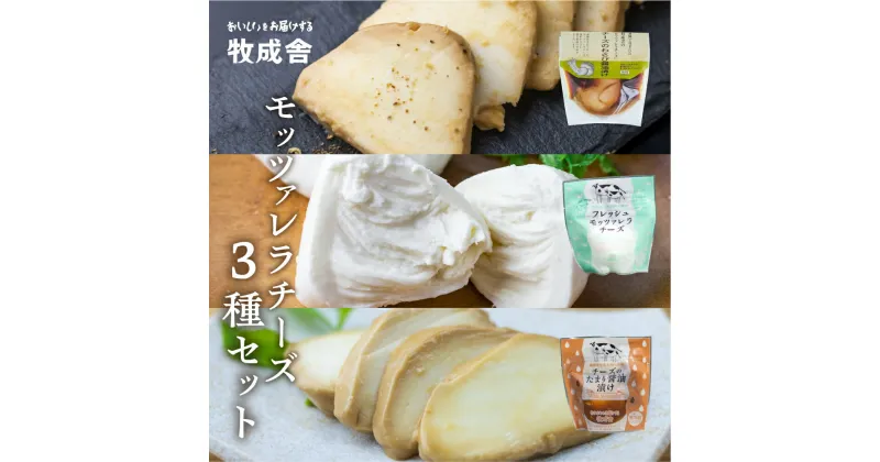 【ふるさと納税】チーズ 詰め合わせ こだわり モッツァレラチーズ 3種セット 100g×3 たまり醤油漬け わさび醤油漬け 自家製[Q614w]《hida0307》