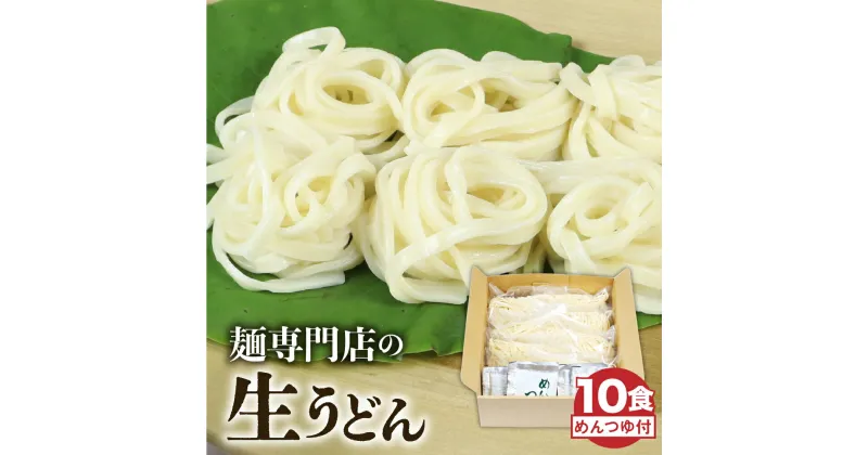 【ふるさと納税】生うどん 10食セット つゆ付 うどん 生麺 合成保存料不使用 常温保存 老田屋[Q740wx]《hida0307》