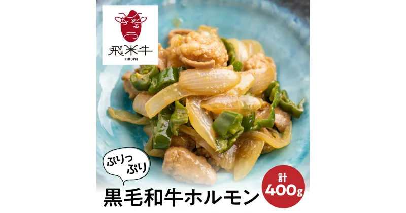 【ふるさと納税】《簡易包装》飛米牛 ひめぎゅう 味付けホルモン 計400g 200g×2パック 個包装 焼肉 ホルモン 味付き肉 飛騨 BBQ バーベキュー 黒毛和牛 国産 冷凍 小分け [Q2415] 10000円 1万円