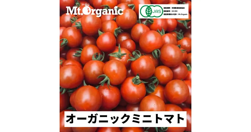 【ふるさと納税】《令和7年産先行予約》 オーガニック ミニトマト 約1.2kg 約4kg 選べる 農家直送 有機JAS認証 有機 プチトマト 2025年発送《hida0307》