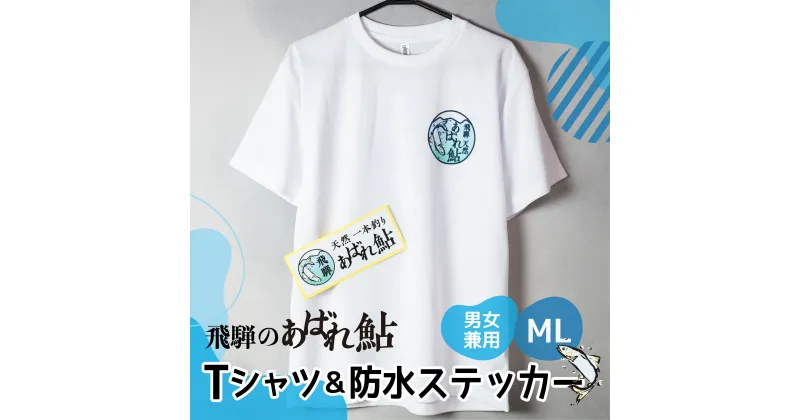 【ふるさと納税】飛騨のあばれ鮎 Tシャツ&防水ステッカー 男女兼用 M L ［Q788x］10000円 1万円