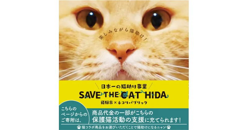 【ふるさと納税】SAVE THE CAT HIDA PROJECT　ネコリパブリックの保護猫シェルター＆ホスピスに名前を刻める権利[neko02n]30000円 3万円 ネコリパブリック