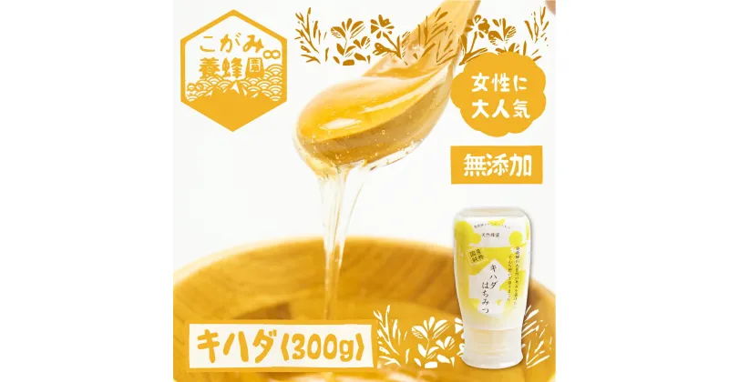 【ふるさと納税】キハダ 蜂蜜 300g はちみつ ハチミツ 国産 非加熱 [Q1203] 《hida0307》