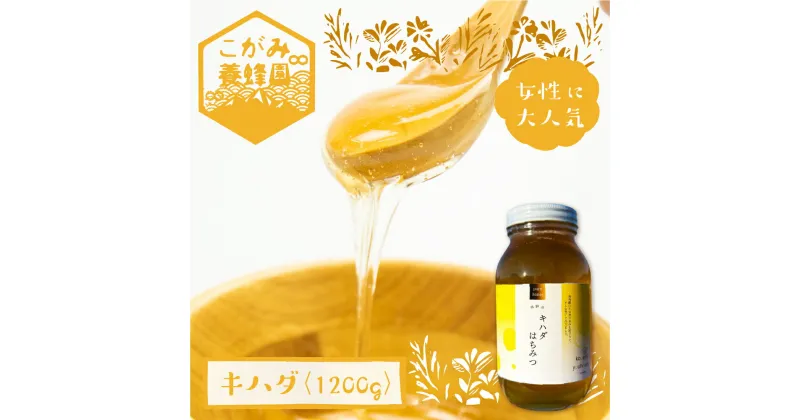 【ふるさと納税】キハダ 蜂蜜 1200g はちみつ ハチミツ 国産 非加熱 [Q1204]