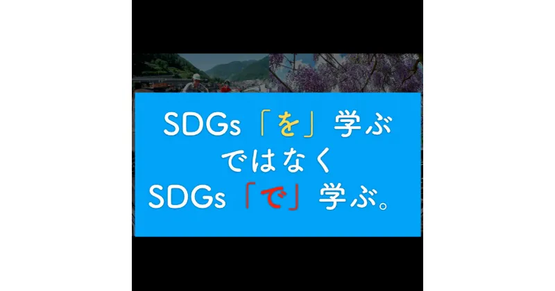 【ふるさと納税】SDGsの基礎講座についての講義（60分） 体験型 体験型返礼品 オンライン 講演 個人セッション[Q905]67000円