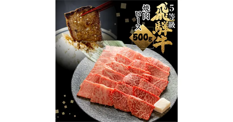 【ふるさと納税】飛騨牛ロース焼肉 500g 焼き肉 BBQ 国産牛 国産 牛肉 肉 厳選 熟成 贈答用 肉の沖村 [Q874]