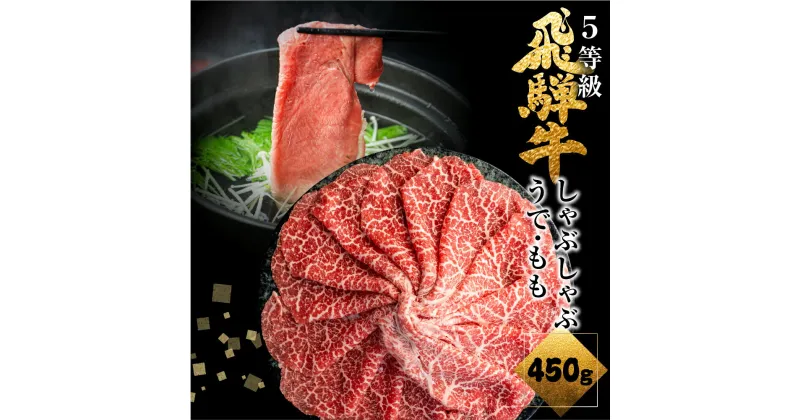 【ふるさと納税】 飛騨牛うでorもも しゃぶしゃぶ 450g しゃぶしゃぶ用 国産牛 国産 牛肉 肉 厳選 熟成 贈答用 肉の沖村 [Q878]30000円　3万円