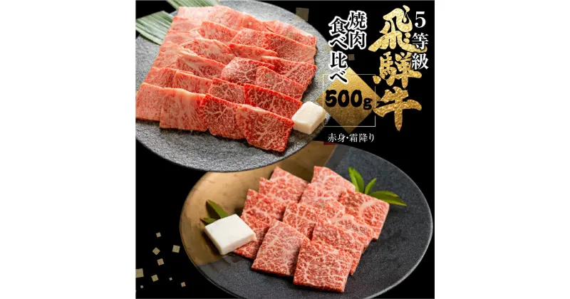 【ふるさと納税】飛騨牛ロース・うでもも食べ比べセット(焼肉)　計500g 焼き肉 BBQ 国産牛 国産 牛肉 肉 厳選 熟成 贈答用 肉の沖村 [Q880]