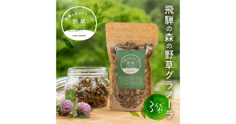 【ふるさと納税】飛騨産野草が入った飛騨の森の グラノーラ　3袋 オートミール 無添加 シリアル 自然派 ハトムギ [Q858] スイーツ プレゼント