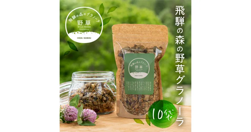 【ふるさと納税】飛騨産野草が入った飛騨の森の グラノーラ　10袋 オートミール 無添加 シリアル 自然派 ハトムギ [Q860] スイーツ プレゼント